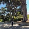 the_styleloop